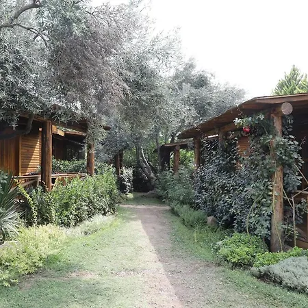 Antique Hotel فندق