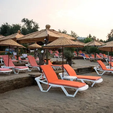 فندق Antique Hotel