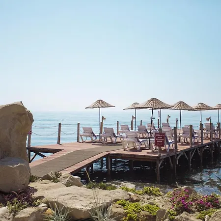 Antique Hotel فندق