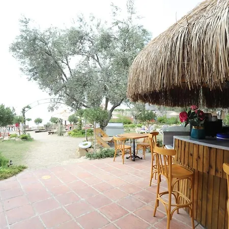 Antique Hotel فندق