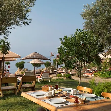 Antique Hotel *